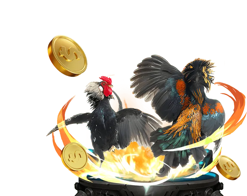 Đá Gà Trực Tuyến tv88 vip